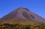 TD Madalena Lajes e Montanha São Roque c/almoço e Museu dos Baleeiros | Pico (Ferrie Faial)